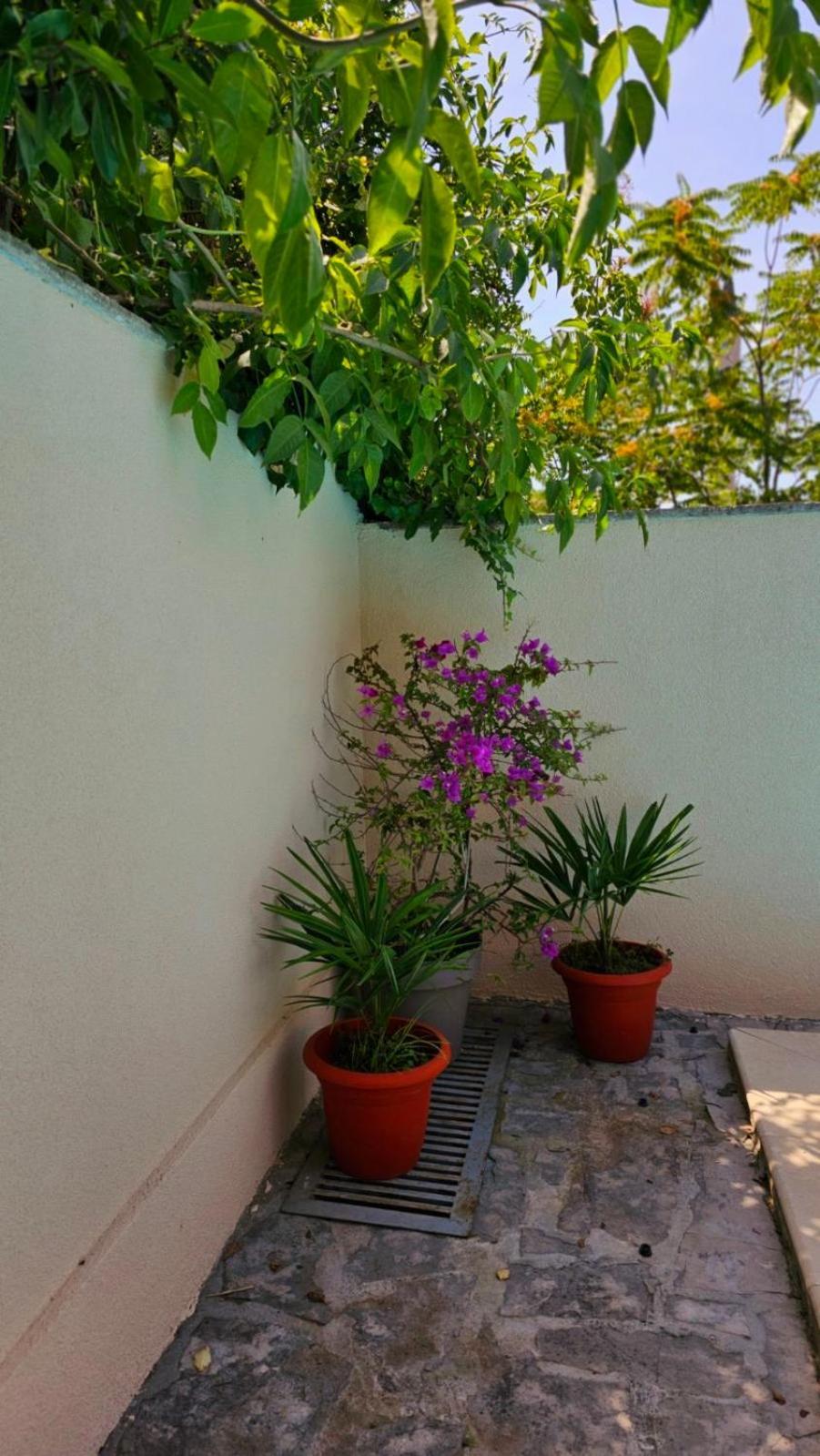 Lovely House With Swimming Pool Mostar Extérieur photo