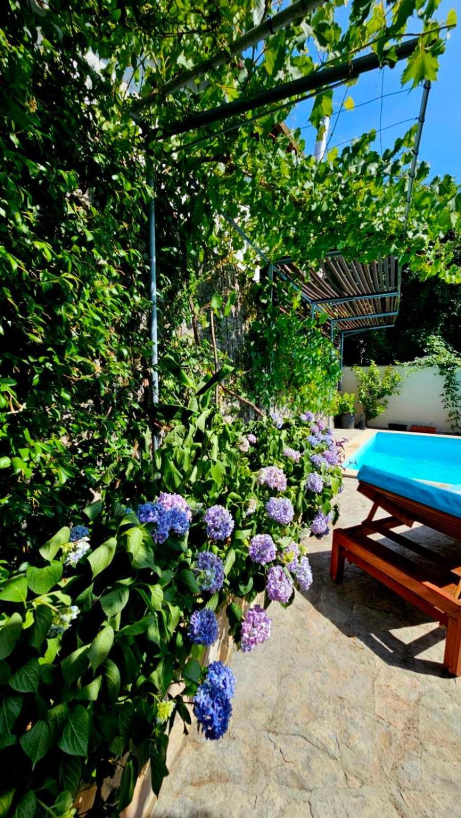 Lovely House With Swimming Pool Mostar Extérieur photo
